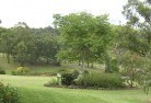 Wooloweyahresidential-landscaping-40.jpg; ?>